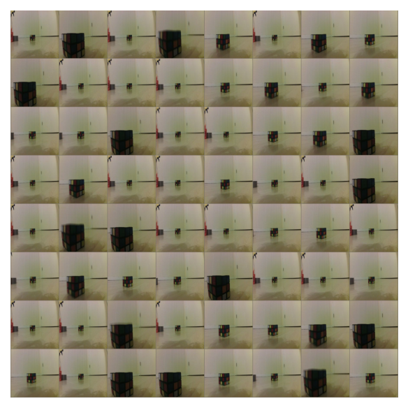 sample images