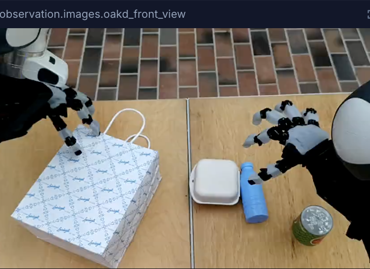 Robot bagging groceries